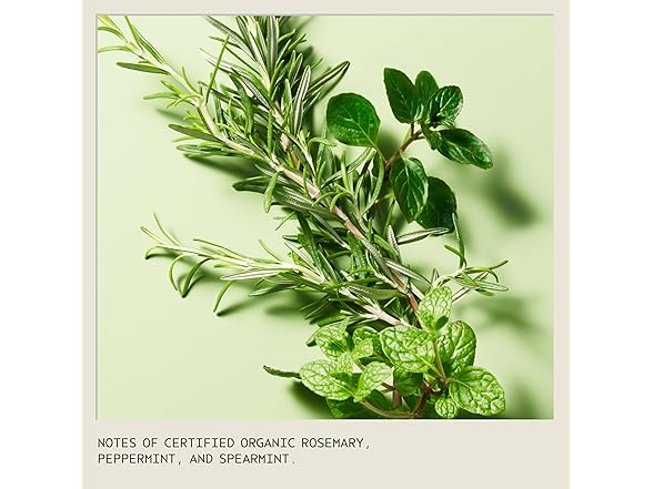 Aveda Rosemary Mint Purifying Shampoo 338 oz
