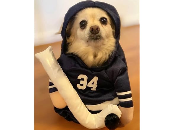 Show and Tail The Stanley Dog Costume for Ha