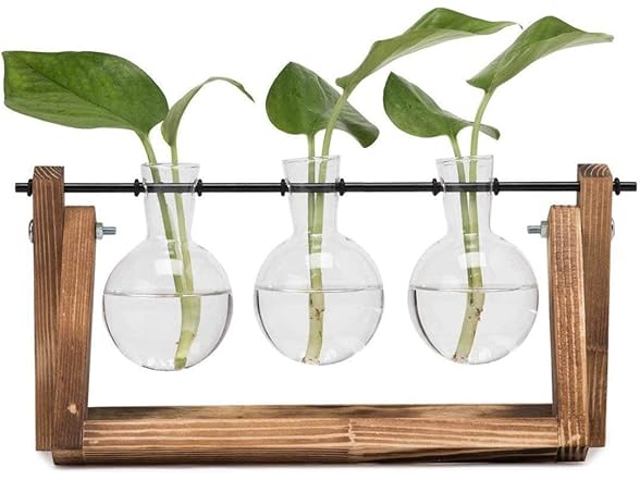 Water Planting Glass Vase w/Wood Stand