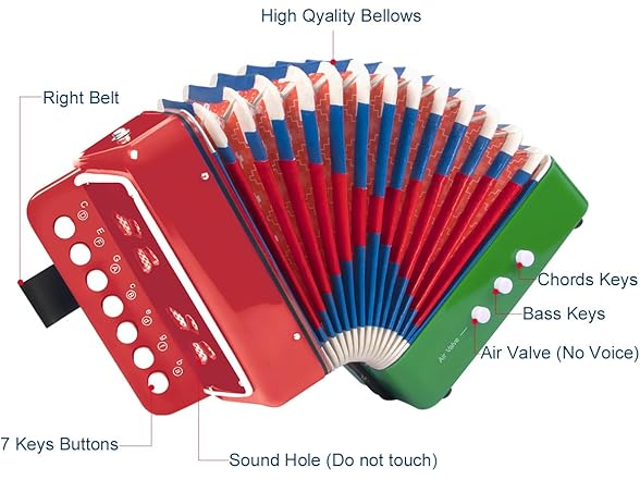 Horse Button Accordion