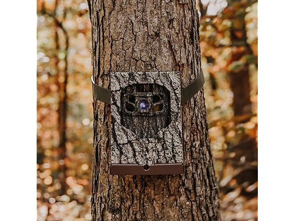 Browning Trail Cameras Dark Ops FHDR40