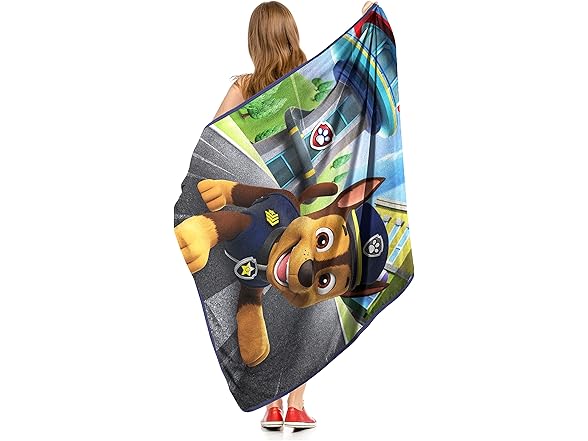 Northwest Paw Patrol Micro Raschel Throw Blanket