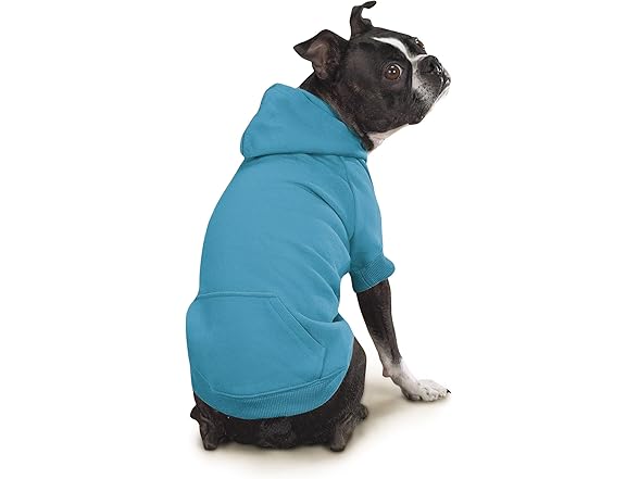 Zack & Zoey Basic Hoodie for Dogs