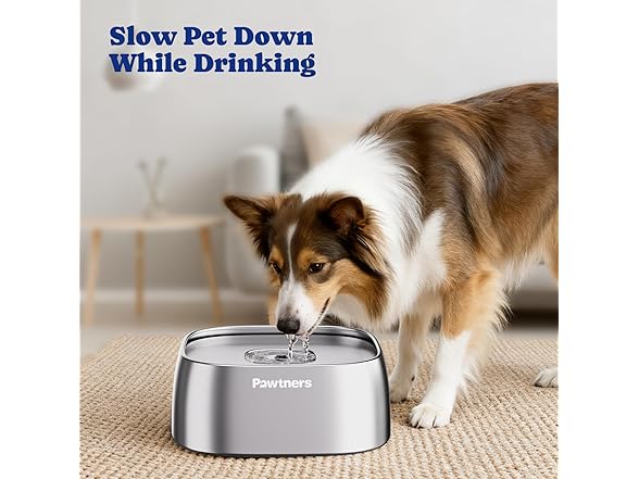 Pawtners Stainless Steel Dog Water Bowl