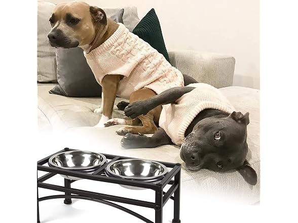 Dazone Elevated Dog Bowls