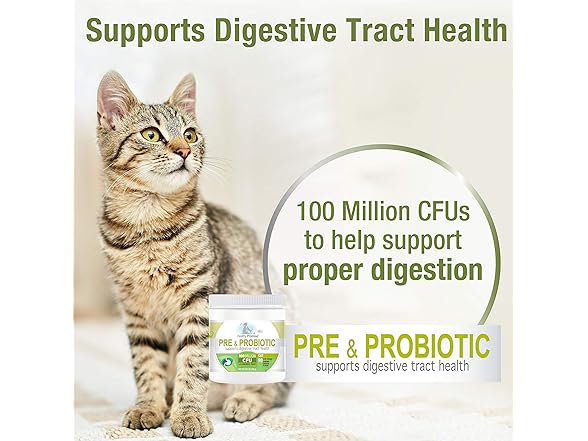 Four Paws Healthy Promise Pre & Probiotic