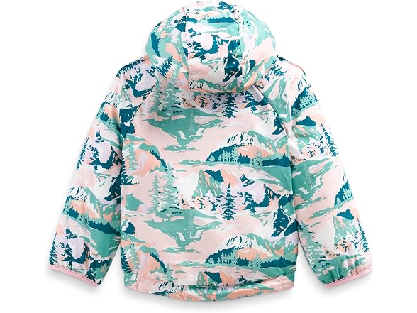 The North Face (6-12 MOS) Reversible Jacket