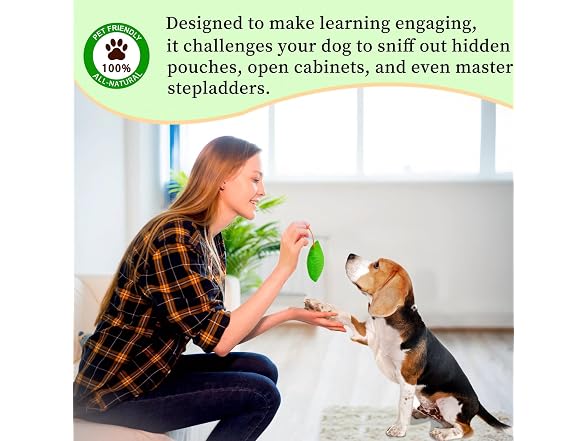 BabieDtOyG Dog Scent Training kit