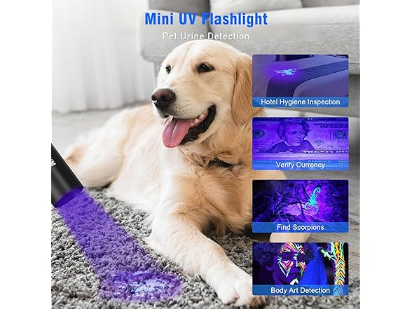 Goreit Flashlights LED High Lumens