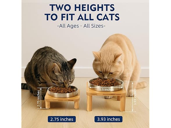 Elevated Cat Bowls