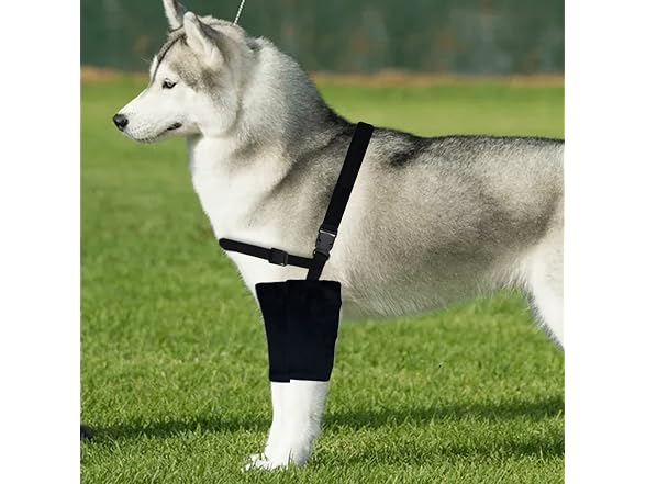 Dog Elbow Protector,Dog Elbow Brace Protecto
