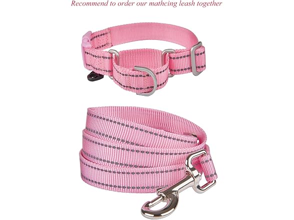 Reflective Martingale Collar for Dogs with Q