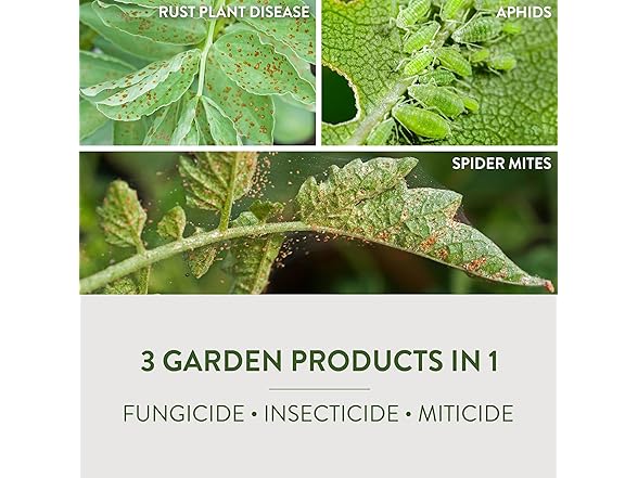 Fungicide with Neem Oil 32oz 6pk