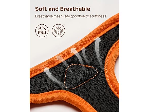 PetThem Cat Harness and Leash Set - Gallery 7