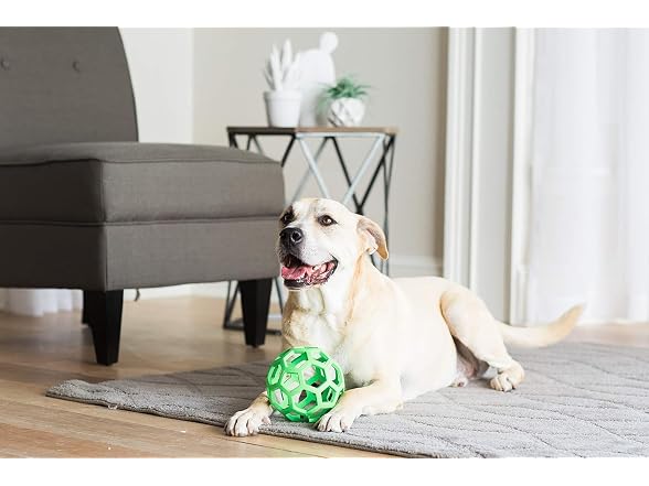 JW Pet HOLEE ROLLER BALL Dog Chew Treat Fetch