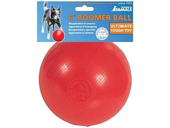 Company of Animals Boomer Ball for Dogs