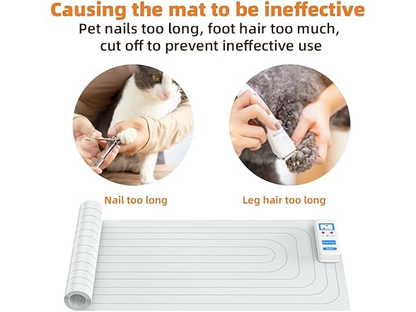 Pet Deterrent Training Pad