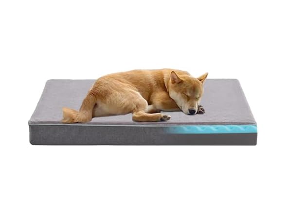 Cooling Dog Beds