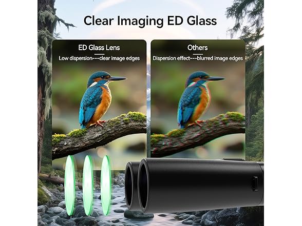 SVBONY SV202 10x42 ED Binocular