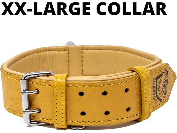 Riparo Adjustable Leather Dog Collar