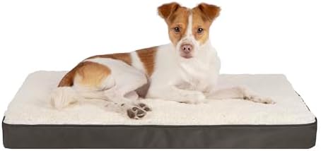 Best Pet Supplies Cute Dog Bed Mat Flat Mattress with Waterproof Exterior, Thick Orthopedic Egg Foam Fill, and Soft Sherpa Fleece Cover for Small, Medium, and Large Breeds - Brown, 24X16X3