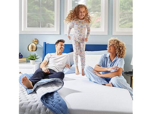 Sleep Innovations Marley 12" Full Mattress