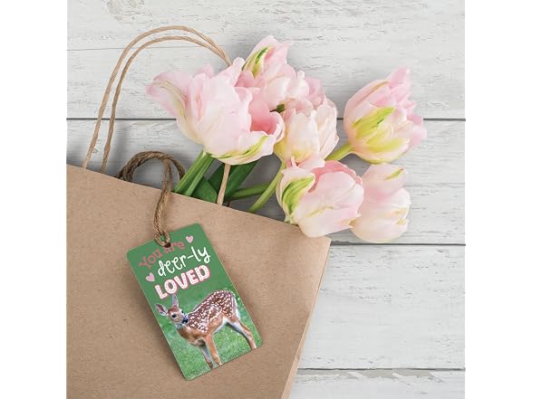 Teacher Created Resources Go Wild Animals Encouragement Cards