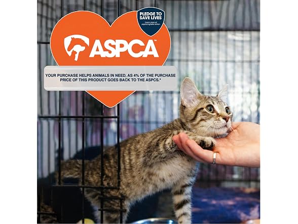 ASPCA Cat Scratching Post for Indoor Cats- Pink