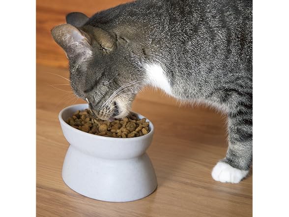 Kitty City Raised Cat Bowls, 2pk