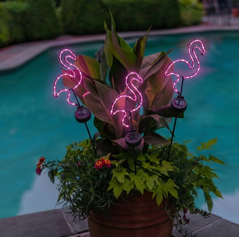 Touch Of ECO Solar Powered LED Garden Stake- Flamingo - Gallery 30