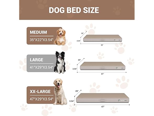 WEVEGO Medium Dog Bed, Orthopedic Dog Bed