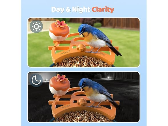 Smart Bird Feeder with Camera
