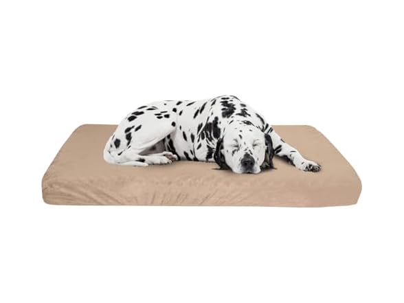 Memory Foam Dog Bed - 37x24 (Tan)