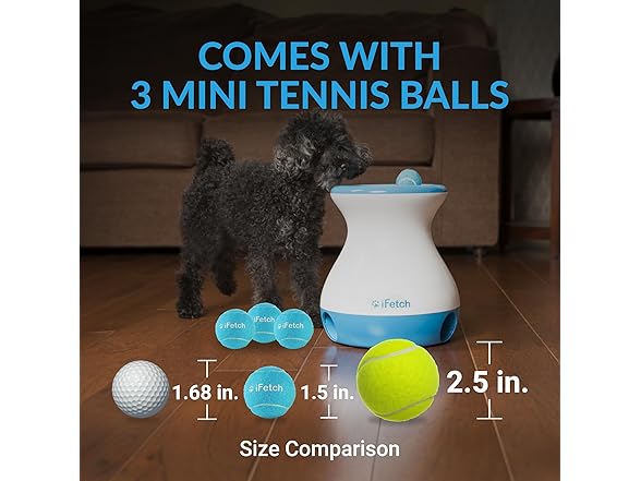 iFetch Frenzy Interactive Dog Toy