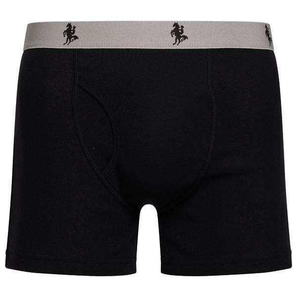 6 Pack: Men's Boxer Briefs (S-XXL) - Gallery 10