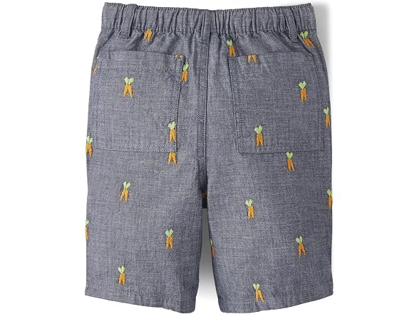 Gymboree Boys (3T) Toddler Embroidered Shorts