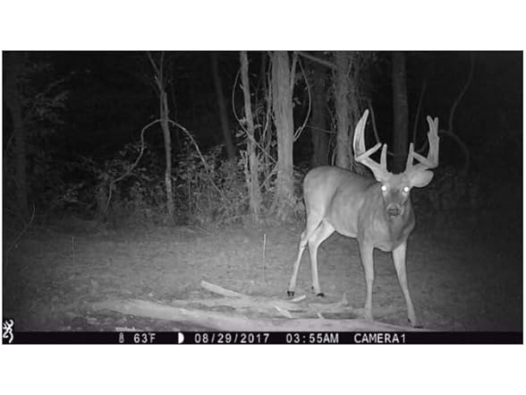Browning Trail Cameras Strike Force Pro X