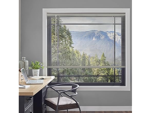 CHICOLOGY Cordless Mini Blinds
