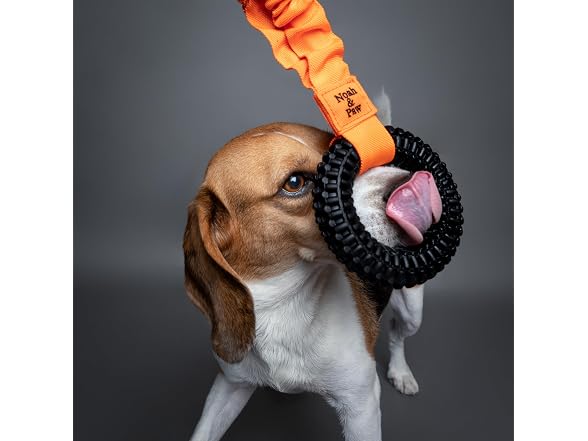 NOAH & PAW Luxury Dog Toy, TPU- Tug Ring, Black