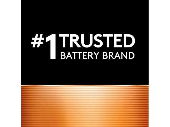 Duracell CopperTop D Batteries