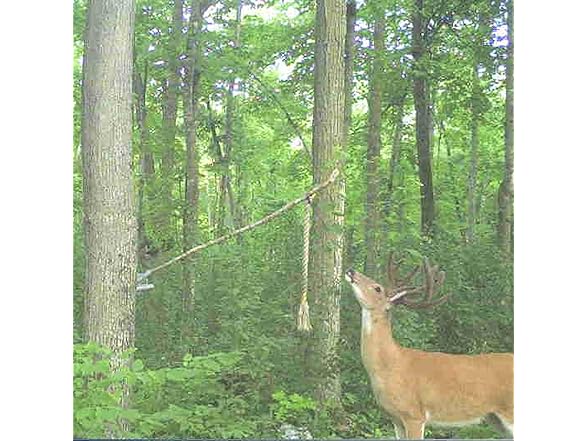 Wildlife Research Center Golden Rope