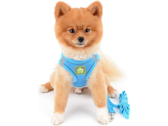 SMALLLEE_LUCKY_STORE Comfort Puppy Harness