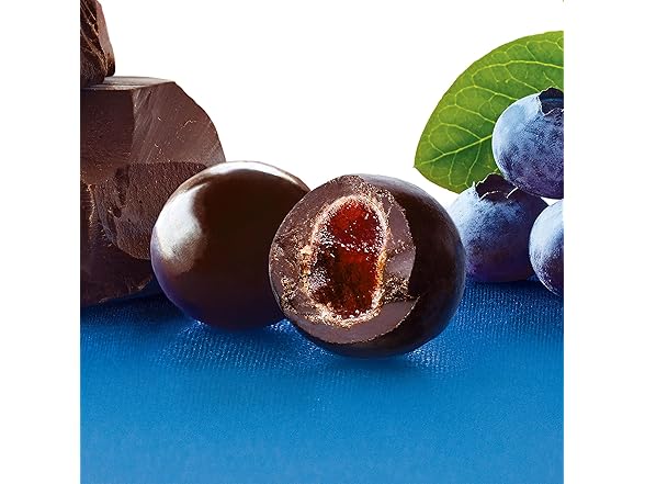 Brookside Dark Choc Acai Blueberry 21oz