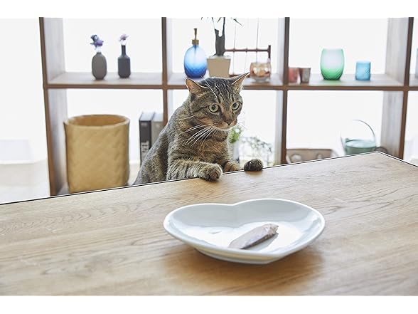 48PK INABA 0.9 oz Grilled Chicken Cat Treat (Your Choice)