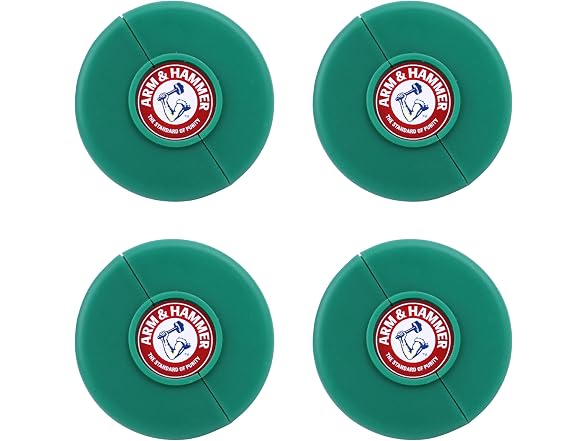 Arm & Hammer Odor Busterz 4ct Forest Pine