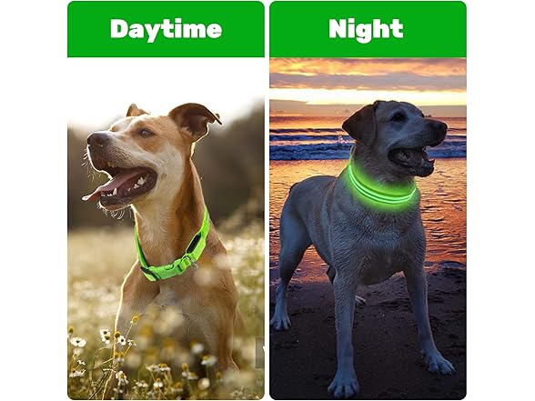 Geekman LED Dog Collar, Rechargeable