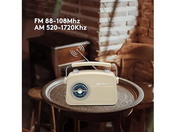 ByronStatics Retro Vintage AM/FM Radio