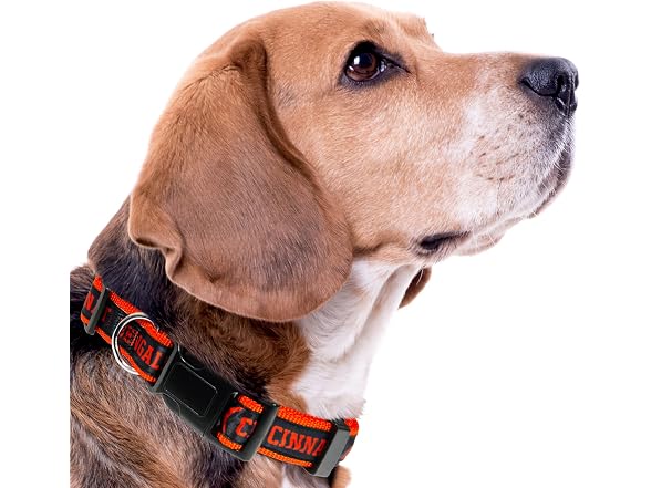 Pets First NFL PET Collar Cincinnati Bengals Dog