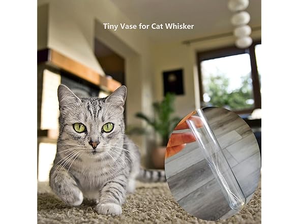 SPNDOB Petite Glass Cat Whisker Collector 2PK