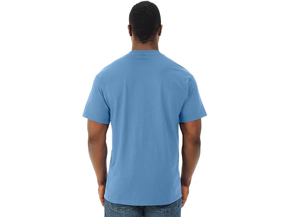 Fruit Of The Loom Men (L) Adult Oz. HD T-Shirt